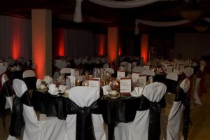Red uplighting at Terrace - Decor by Final Touches Designs Photo by Daniele Carol Photography